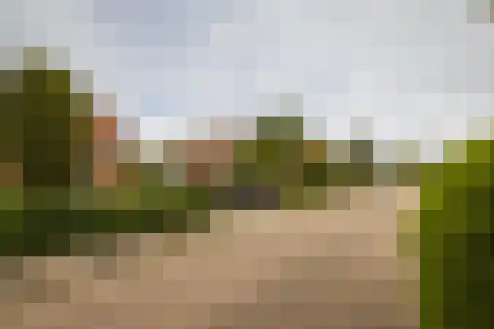Kerkhoflaan 53 Zwanenburg thumbnail 38