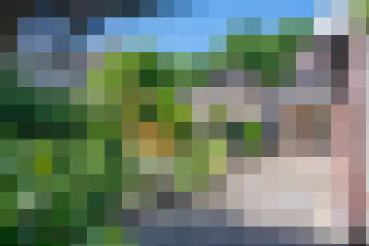 Kerkhoflaan 6 Geleen thumbnail 4