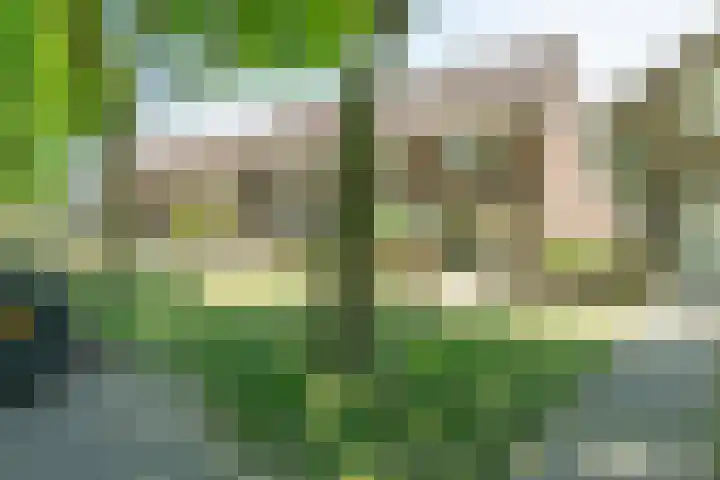 Kerkhoflaan 6 Geleen thumbnail 6