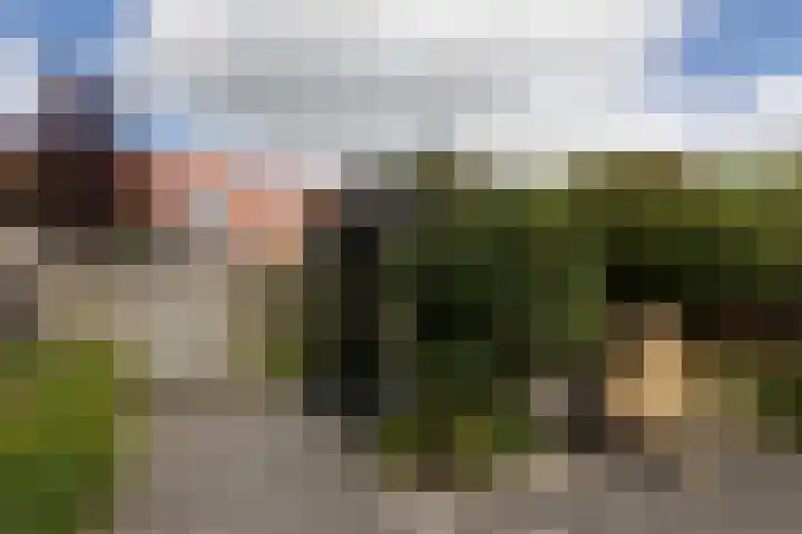 Kerkhoflaan 6 Sneek thumbnail 31