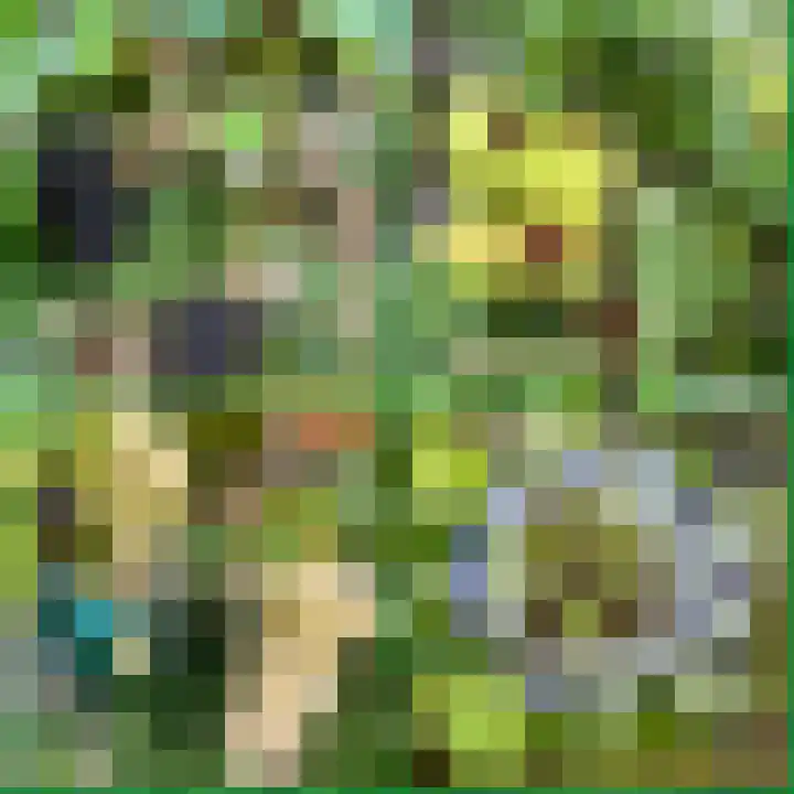Kerkhoflaan 6 Sneek thumbnail 33