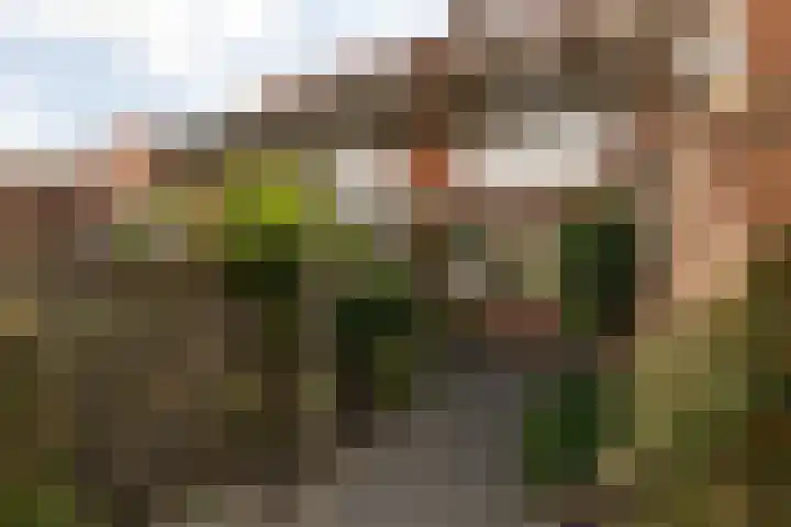 Kerkhoflaan 6 Sneek thumbnail 35
