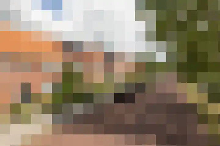Kerkhoflaan 6 Sneek thumbnail 39