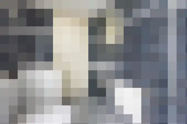 Kerkhofpad 4 Dinxperlo thumbnail 18