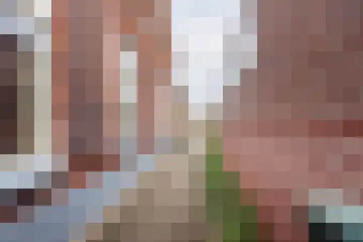 Kerkhofpad 4 Dinxperlo thumbnail 28