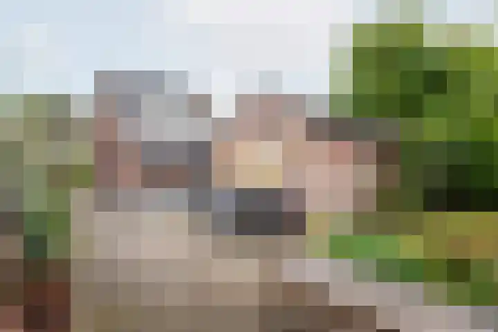 Kerkhofpad 4 Dinxperlo thumbnail 30