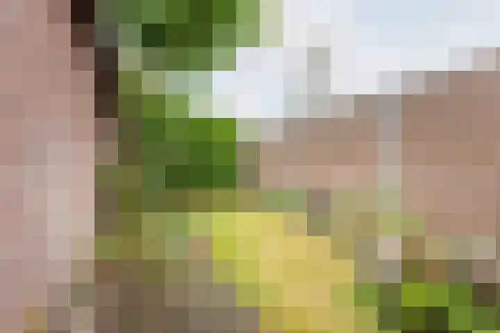 Kerkhofpad 4 Dinxperlo thumbnail 32