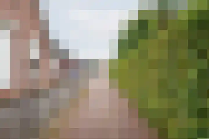 Kerkhofpad 4 Dinxperlo thumbnail 37