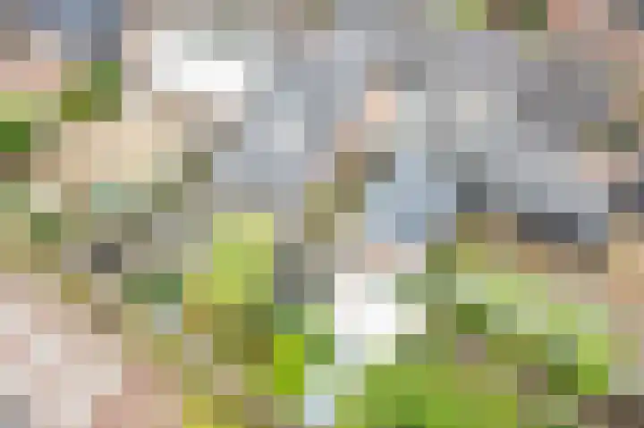 Kerkhofpad 4 Dinxperlo thumbnail 39