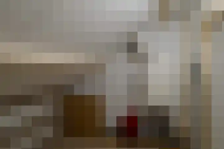 Kerkhofweg 114 Overdinkel thumbnail 32