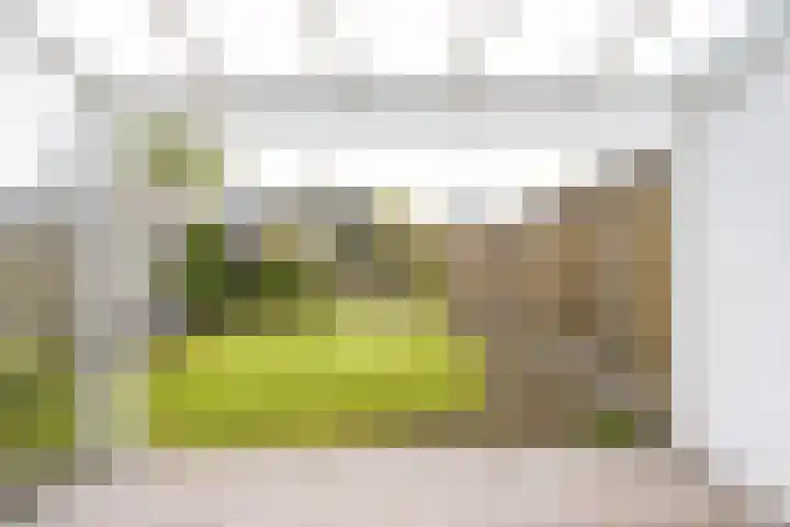 Kerkhofweg 114 Overdinkel thumbnail 35