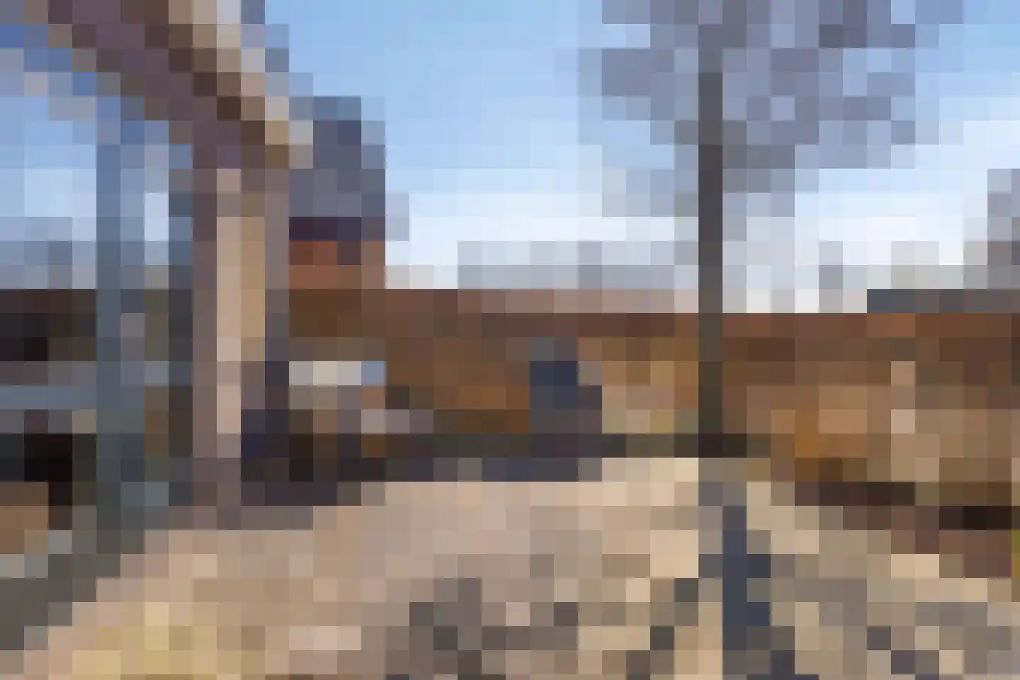 Kerkhofweg 15 A Steenderen thumbnail 22