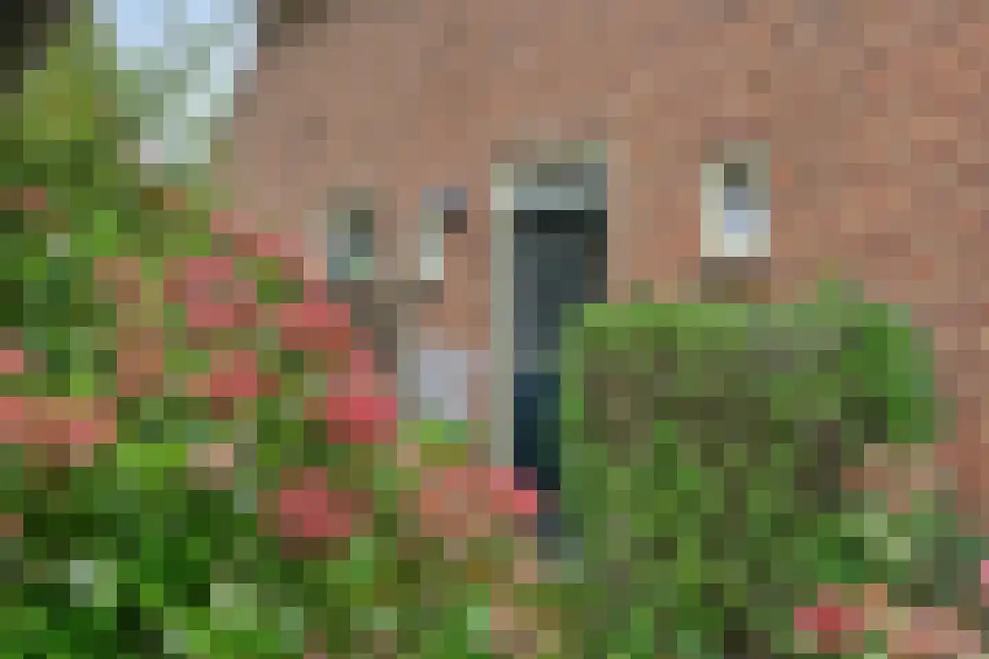 Kerkhofweg 15 Steenderen thumbnail 7