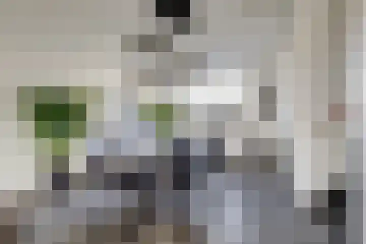 Kerkhofweg 20 Venlo thumbnail 7