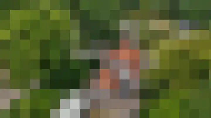 Kerklaan 12 Erica thumbnail 65
