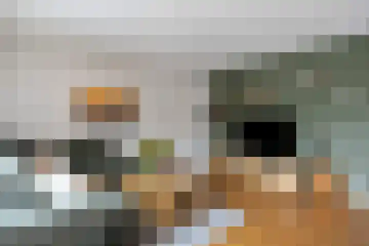 Kerklaan 15 Heteren thumbnail 14