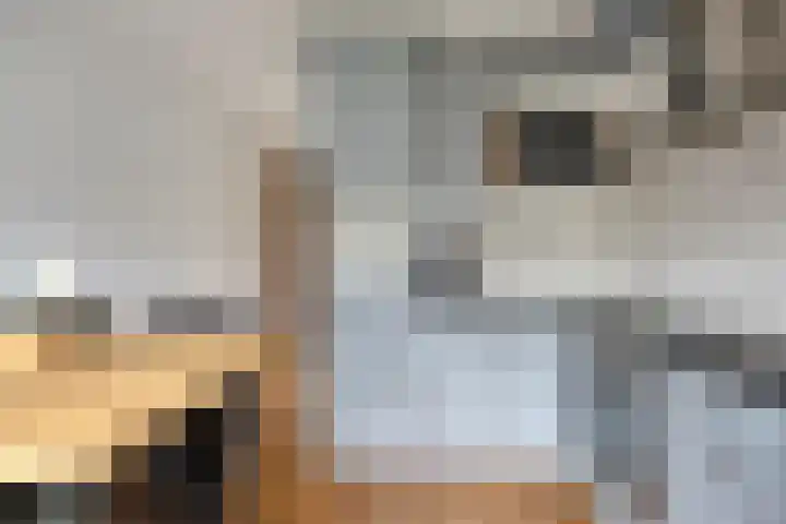 Kerklaan 15 Heteren thumbnail 15