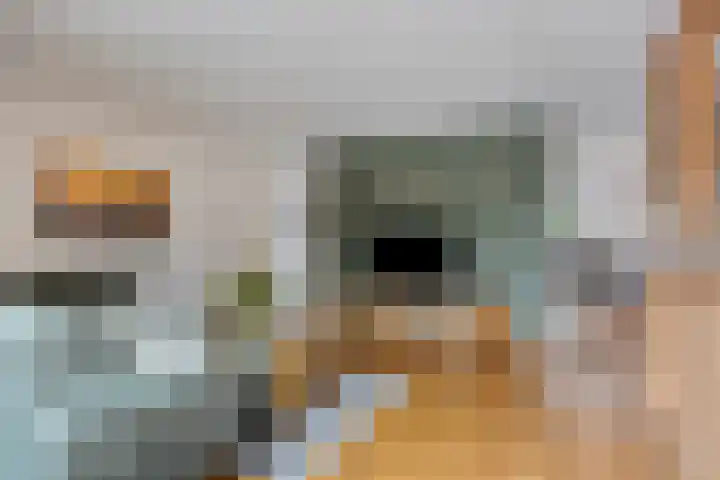 Kerklaan 15 Heteren thumbnail 17