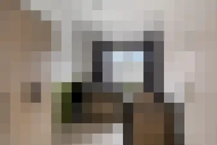 Kerklaan 15 Heteren thumbnail 28