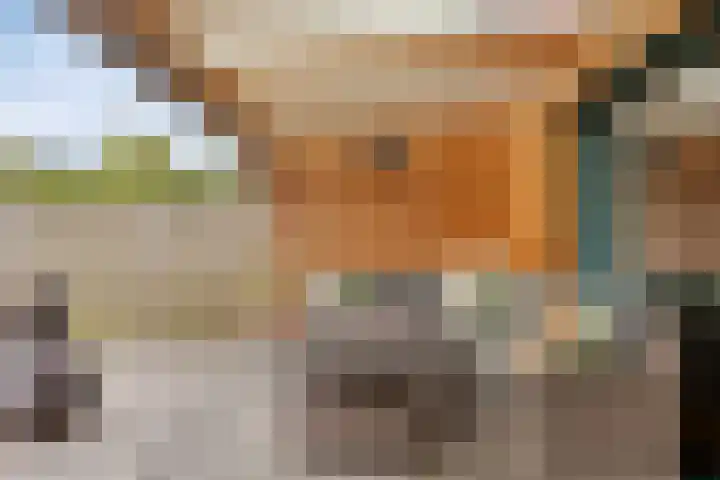 Kerklaan 15 Heteren thumbnail 36