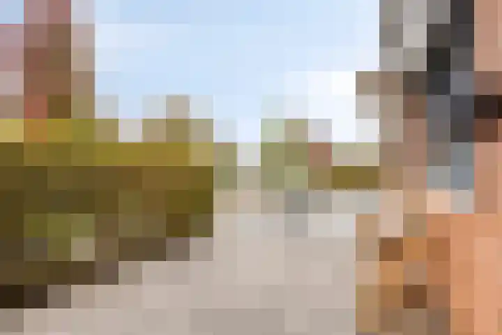 Kerklaan 15 Heteren thumbnail 7