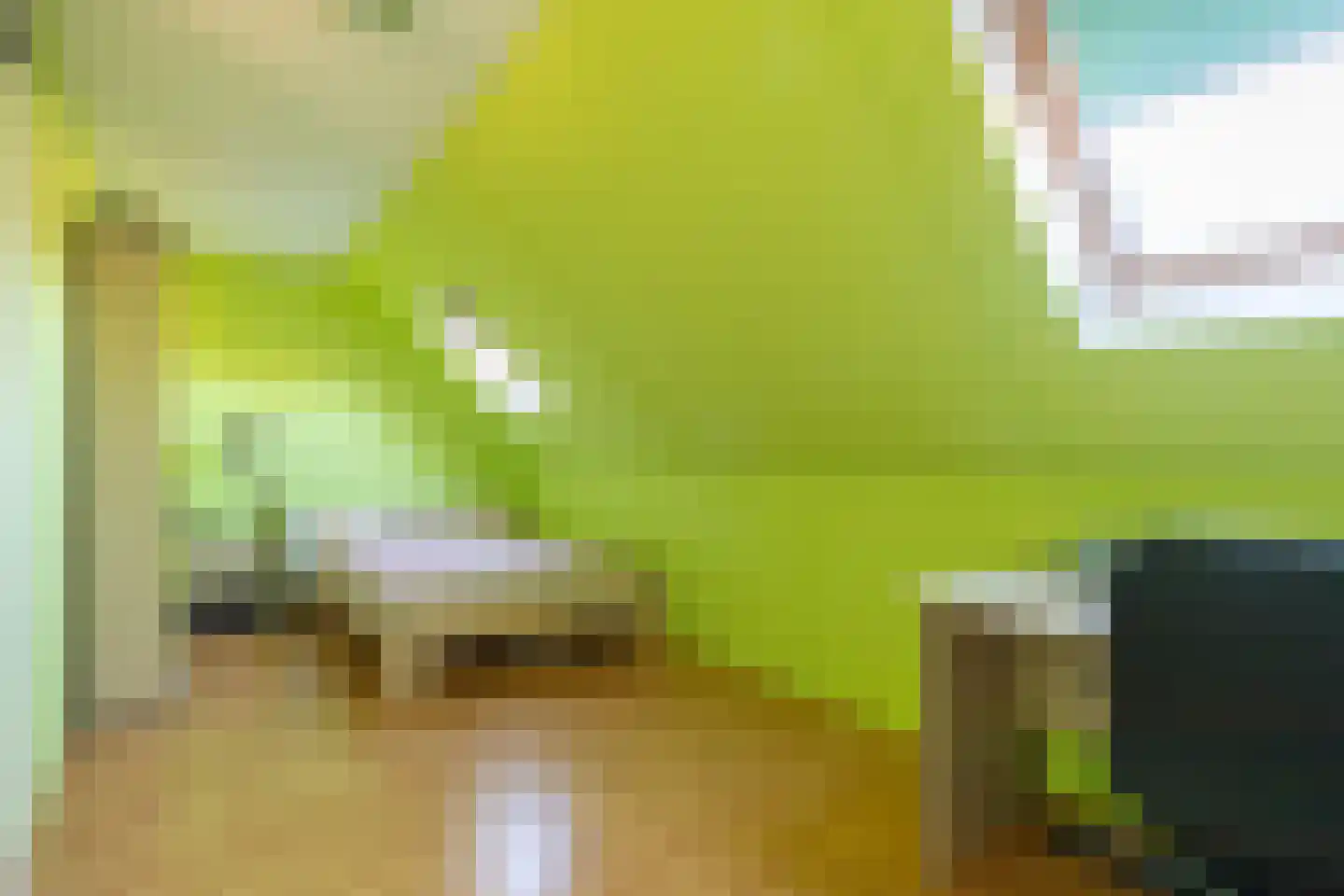Kerklaan 2 Leimuiden thumbnail 36
