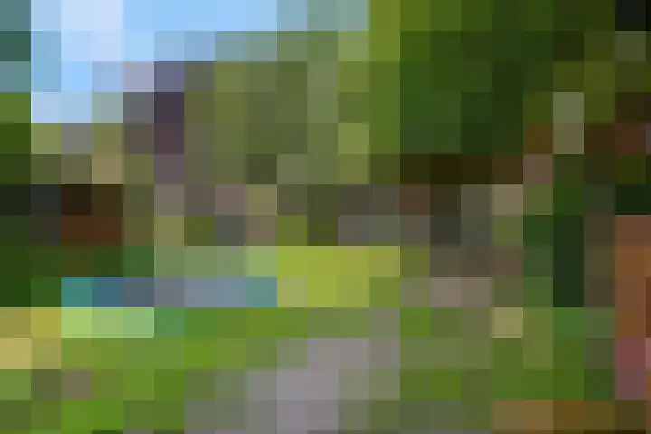 Kerklaan 23 Otterlo thumbnail 29