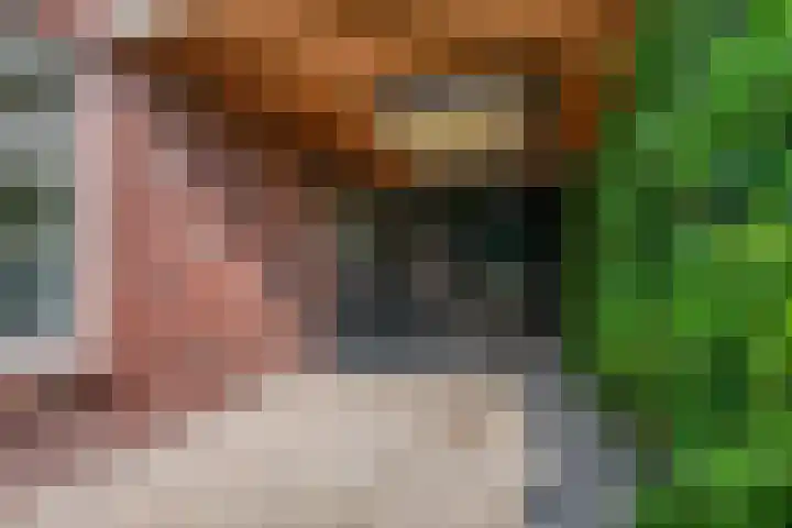 Kerklaan 23 Otterlo thumbnail 41