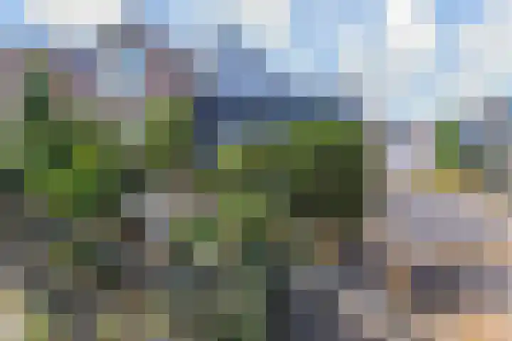 Kerklaan 30 Wateringen thumbnail 4