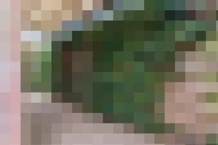 Kerklaan 32 Eefde thumbnail 33