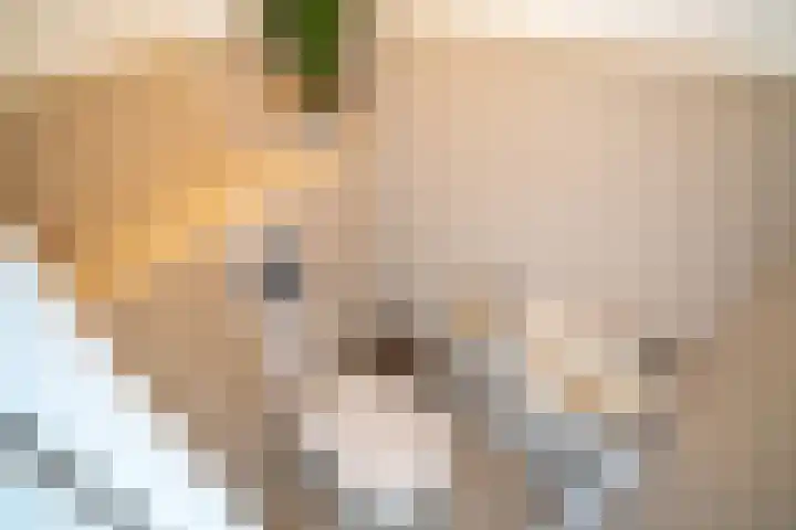 Kerklaan 7 Zoeterwoude thumbnail 25