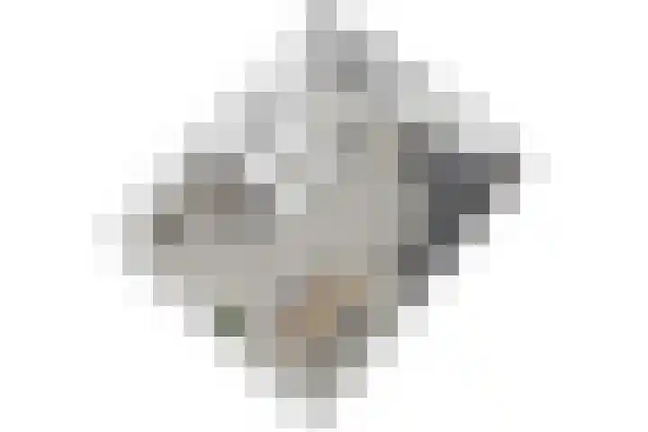 Kerklaan 7 Zoeterwoude thumbnail 52