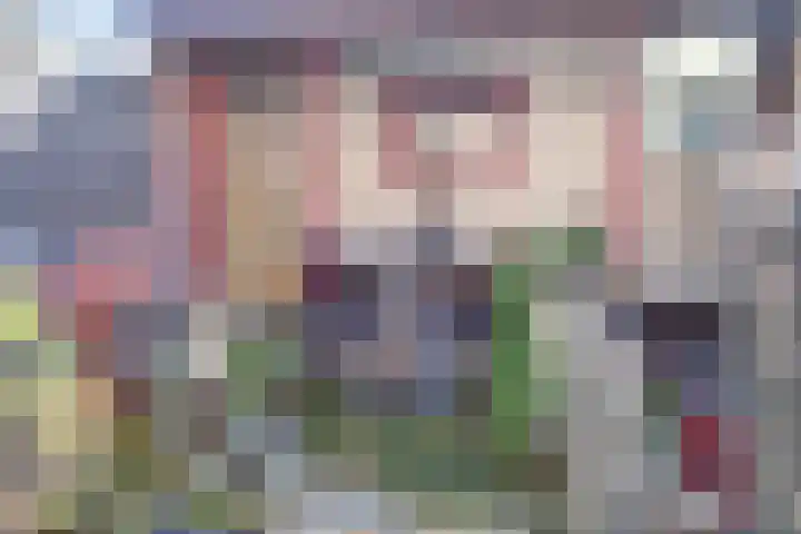 Kerklaan 77 Heteren thumbnail 39