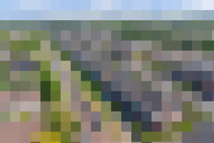 Kerklaan 77 Heteren thumbnail 47
