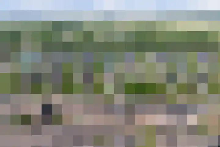 Kerklaan 77 Heteren thumbnail 49