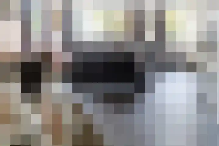Kerkmeesterstraat 4 Delfgauw thumbnail 11