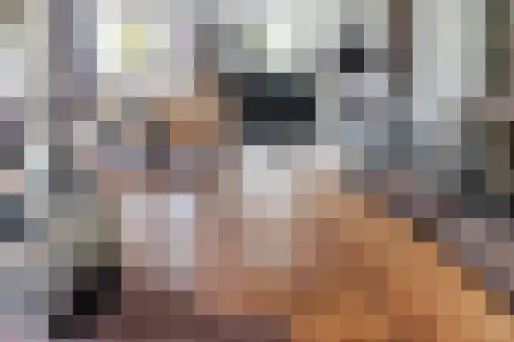 Kerkmeesterstraat 4 Delfgauw thumbnail 12