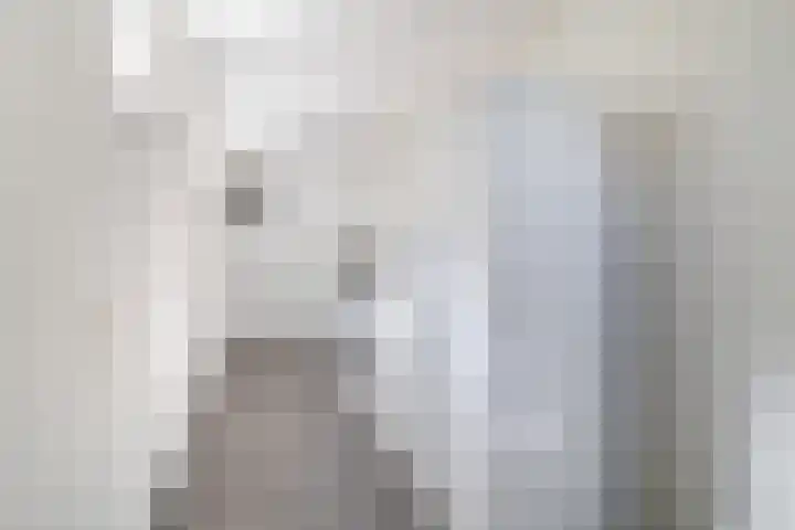 Kerkmeesterstraat 4 Delfgauw thumbnail 17
