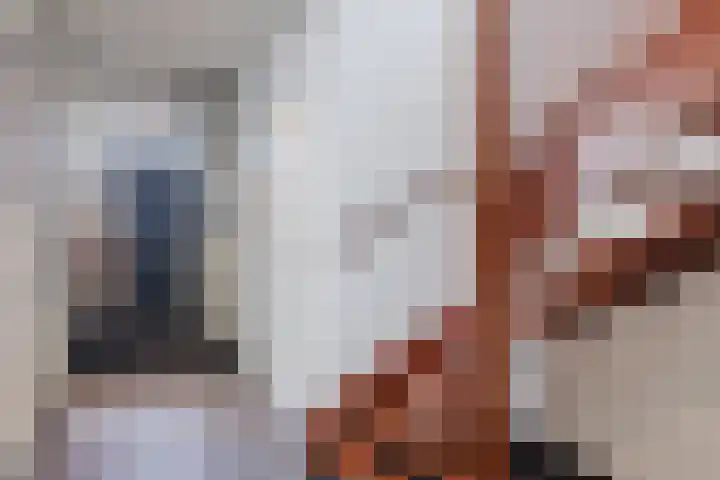 Kerkmeesterstraat 4 Delfgauw thumbnail 21