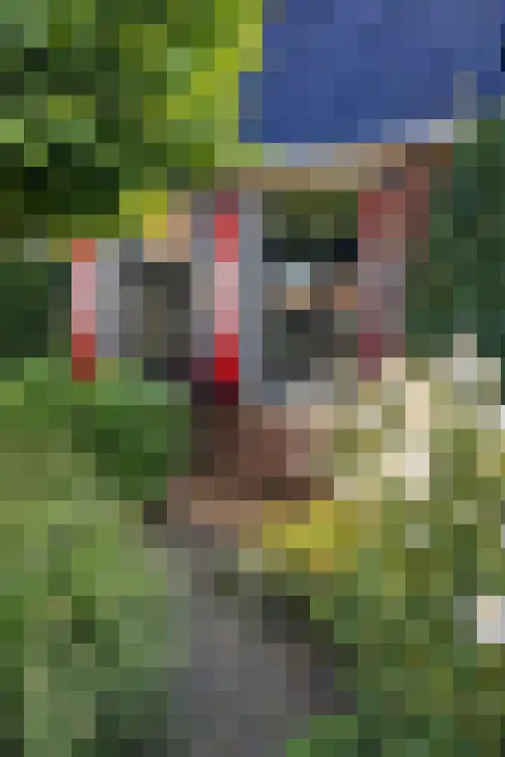 Kerkpad 1 Hallum thumbnail 10