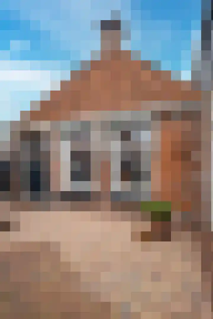 Kerkpad 1 Hallum thumbnail 40
