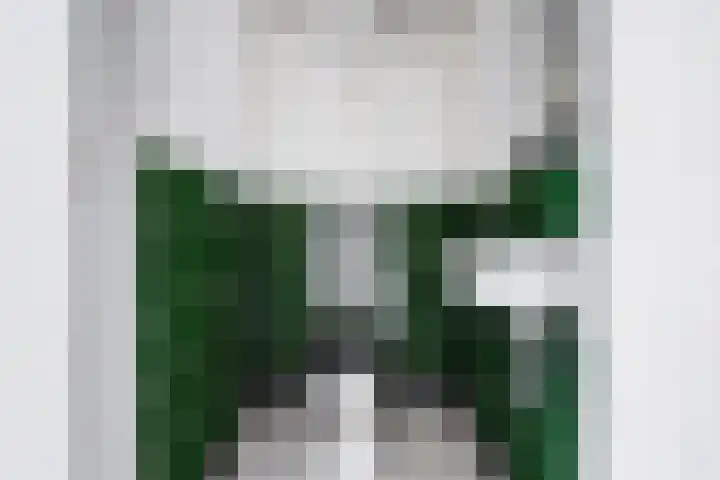 Kerkpad 10 Esbeek thumbnail 23