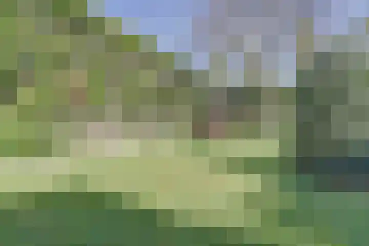 Kerkpad 10 Esbeek thumbnail 28