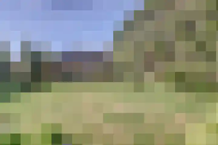 Kerkpad 10 Esbeek thumbnail 29