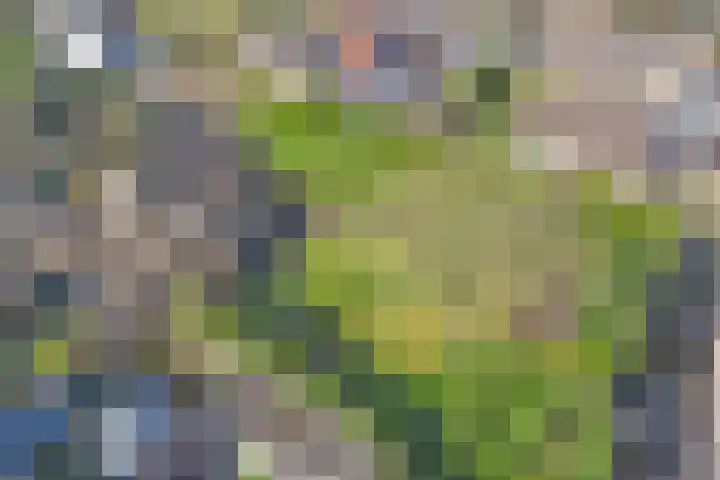 Kerkpad 10 Esbeek thumbnail 4