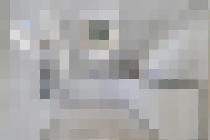 Kerkpad 10 Oldehove thumbnail 12