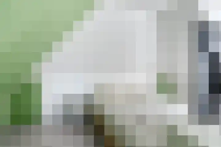 Kerkpad 10 Oldehove thumbnail 31