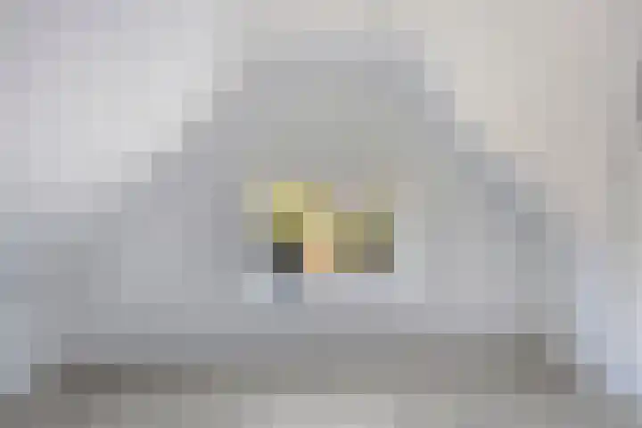 Kerkpad 10 Oldehove thumbnail 35