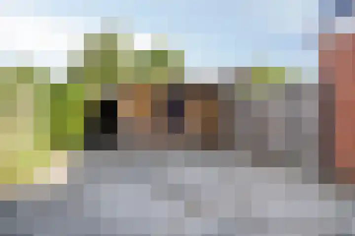 Kerkpad 10 Oldehove thumbnail 40