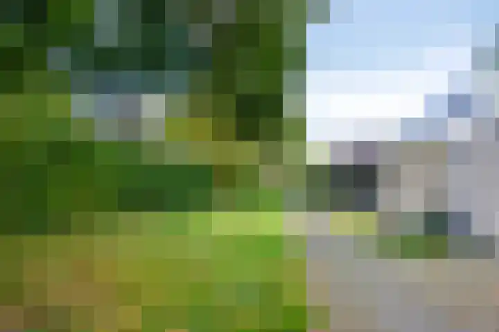 Kerkpad 10 Oldehove thumbnail 44